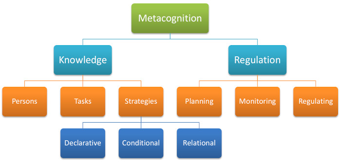 Chart breaking down 'metacognition' as described above. 